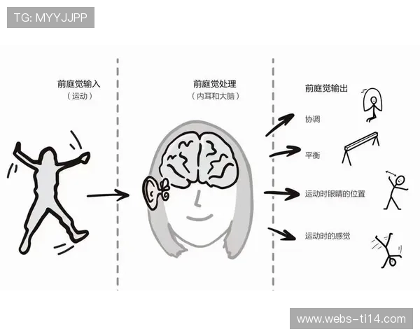 跳水长期训练对前庭系统功能的影响研究